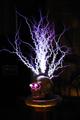 Earls VTTC Vacuum Tube Tesla Coil