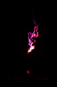 DSC_1116
